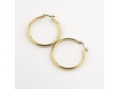 Серьги, серебро 925 001 01 22-00515 2010 г инфо 10083w.